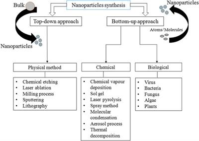 Bacteriogenic Platinum Nanoparticles for Application in Nanomedicine